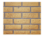 Napoleon Direct Vent Gas Fireplace - Ascent 42 B42 - Sandstone Decorative Brick Panels