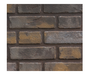 Napoleon Direct Vent Gas Fireplace - BHD4 Ascent Multi-view 40 - Newport Decorative Brick Panels