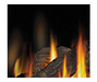 Napoleon Gas Fireplace GDS26 - MIRRO-FLAME Porcelain Reflective Radiant Panel