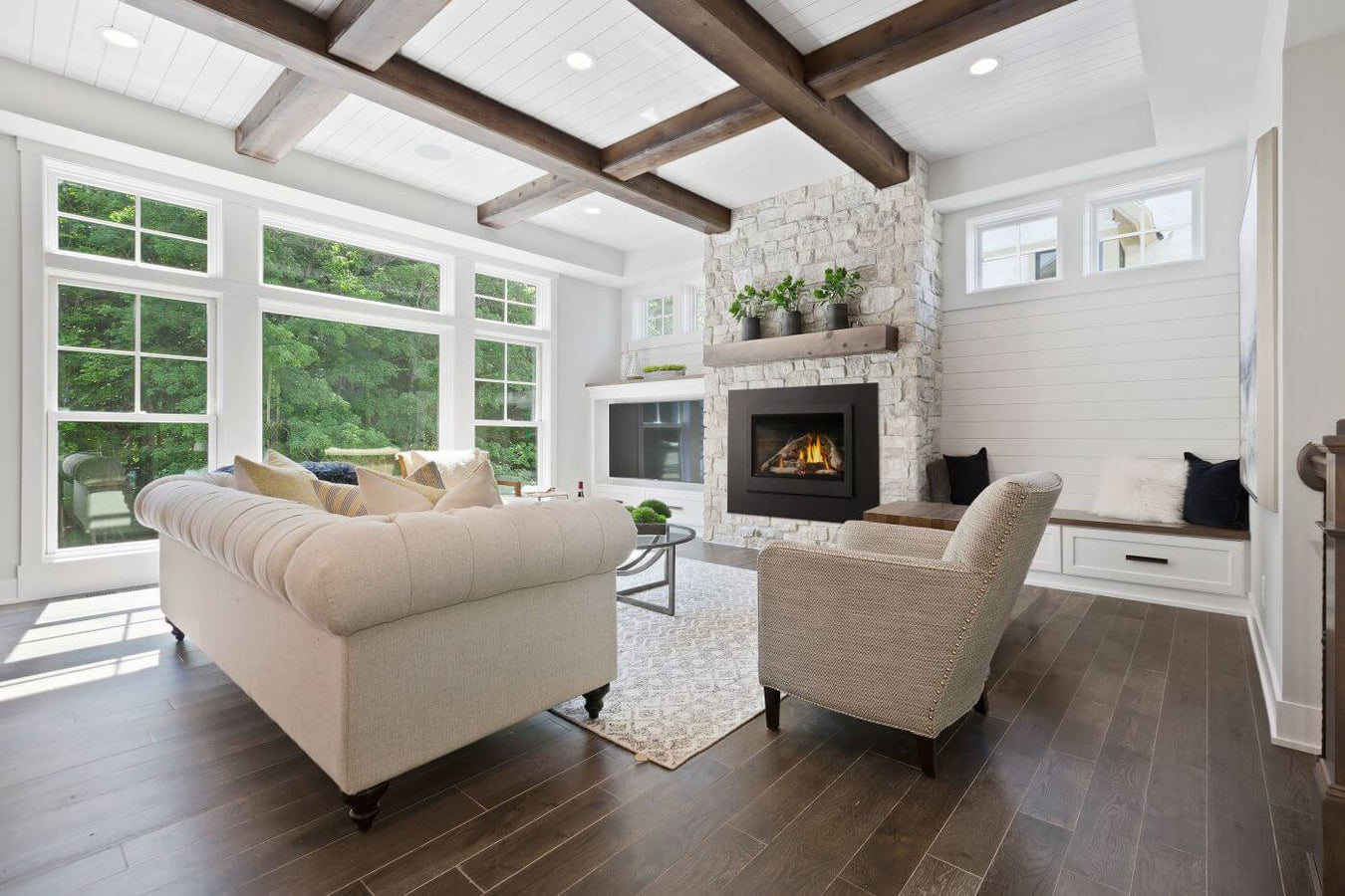 Napoleon Gas Fireplace Inserts