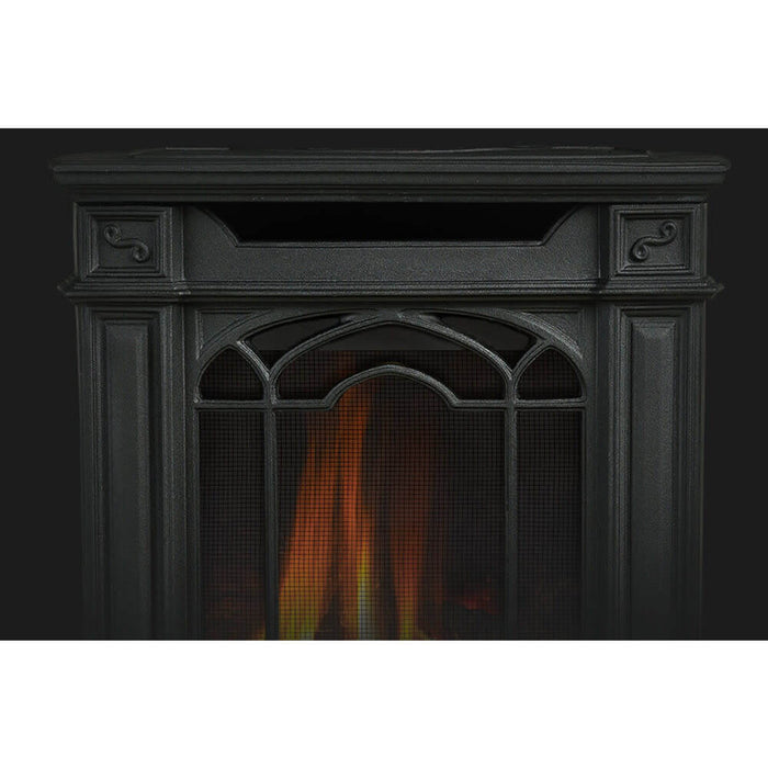 Napoleon Direct Vent Gas Stove - GDS20 Arlington