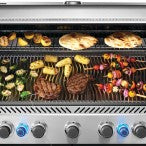 Napoleon Prestige P665VRSIB_SS-3 Gas Grill Stainless Steel