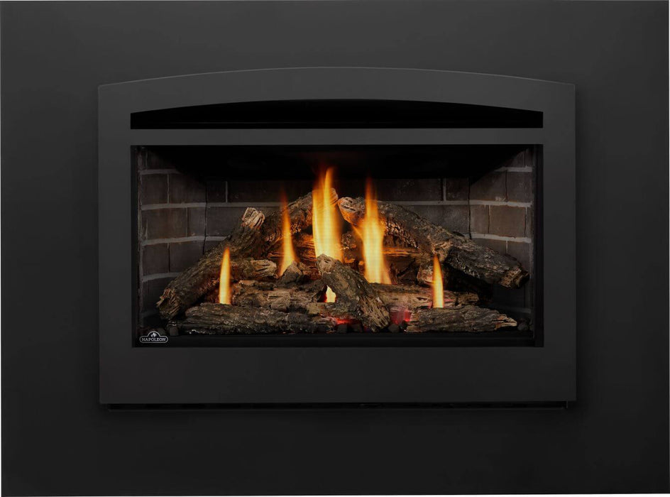 Napoleon Gas Fireplace Insert - Rosedale Series