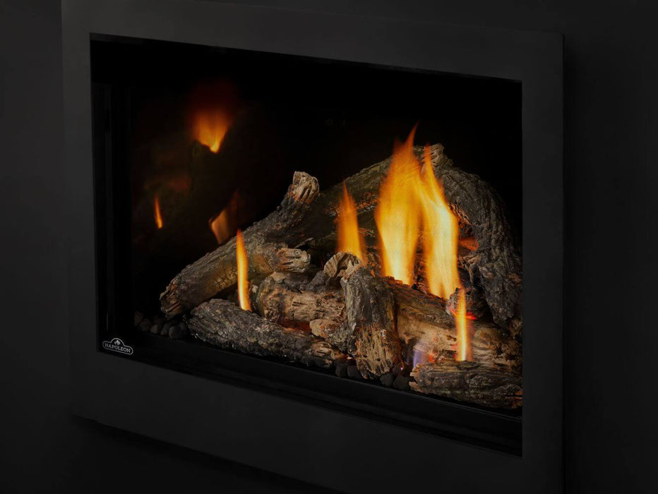 Napoleon Gas Fireplace Insert - Rosedale Series