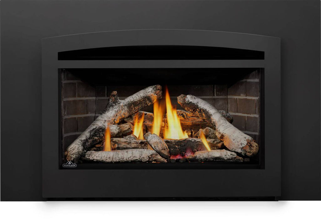 Napoleon Gas Fireplace Insert - Rosedale Series