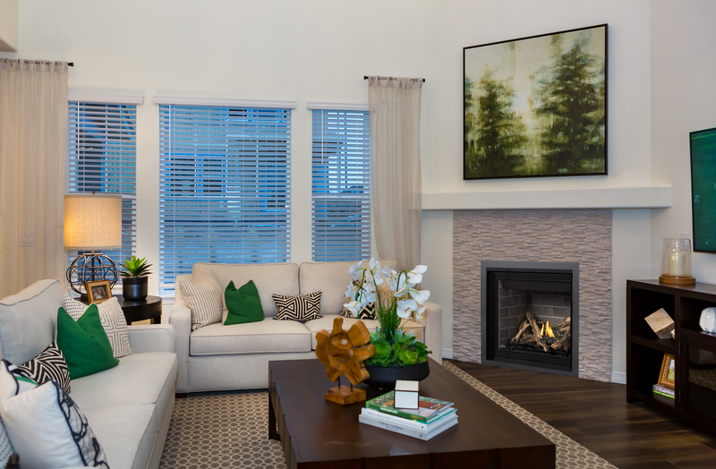 Napoleon Altitude™ Series