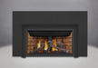 Napoleon Gas Fireplace GDIZC with Three Sided Bakerplate