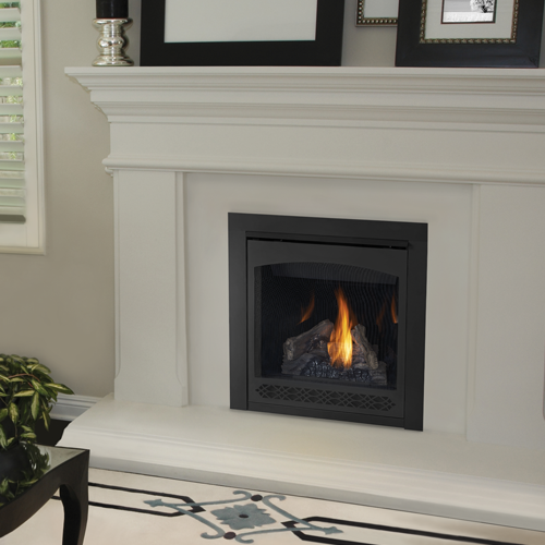 Napoleon Direct Vent Gas Fireplace - Ascent 30 B30 - Cover Photo