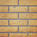 Napoleon Direct Vent Fireplace - Ascent X 36 GX36 - Sandstone Decorative Brick Panels