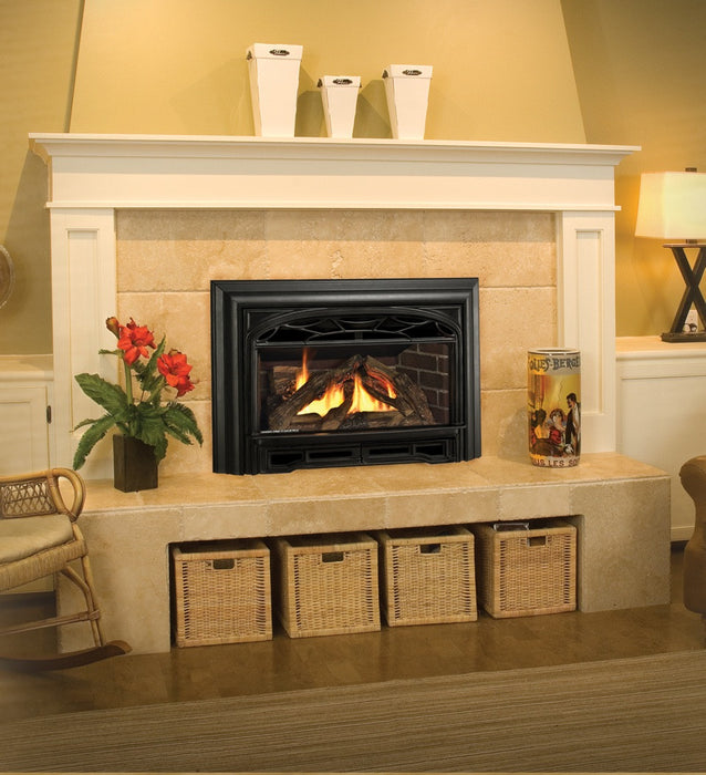 Valor G3 Gas Fireplace Insert - Log Set