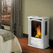Napoleon Gas Stove - GDS26 Winter Frost
