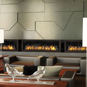 Napoleon Direct Vent Fireplace - LHD62