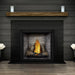 Napoleon Direct Vent Fireplace - HDX53 STARfire 52 - Cover Photo