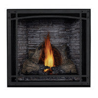 Napoleon Direct Vent Fireplace - HDX53 STARfire 52 - Decorative Front with Screen