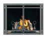Napoleon HD46 Clean Face Gas Fireplace With Double Doors